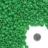 Colorations Green Pony Beads, 1/2 lb. Approx. 800 Pcs in Resealable Stand-Up Storage, Accent Beads, Hair Accessory, Slime, Stringing, Learn, Teachers, Kids, Creative, Arts & Crafts