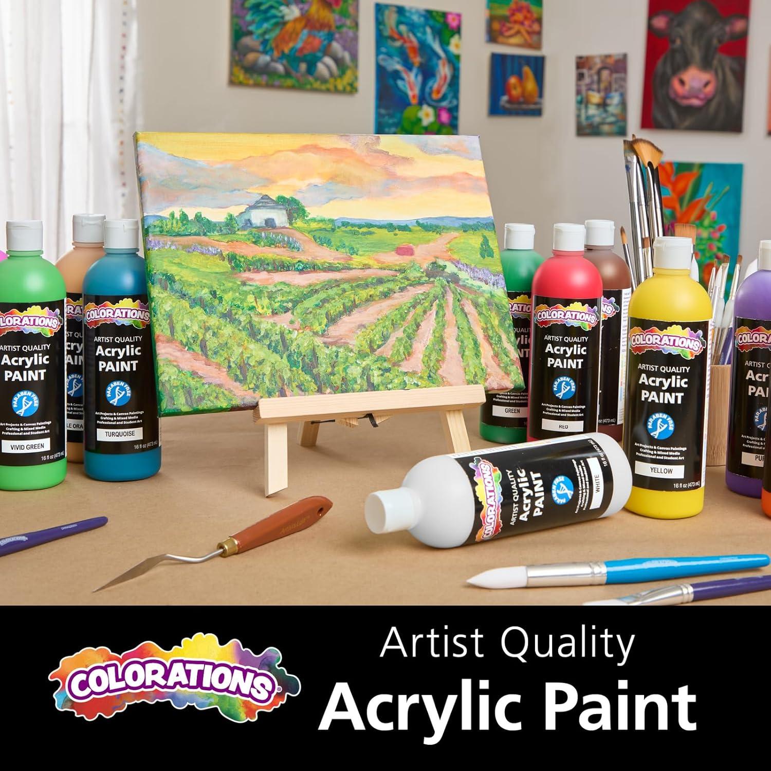 image:imageColorations Artist Quality Acrylic 18 Color Paint Set 16 oz 473ml Made in United States ParabenFree NonToxic Acrylic Paint for Adults and KidsPrism Set of 12