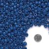 Colorations Blue Pony Beads, 1/2 lb. approx. 800 Pcs in Resealable Stand-Up for Storage, Accent Beads, Hair Accessory, Slime, Stringing, Learn, Teachers, Kids, Creative, Arts & Crafts (Item # SPONYBL)