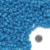 Colorations Turquoise Pony Beads, 1/2 lb. Approx. 800 Pcs in Resealable Stand-Up Storage Bag, Accent Beads, Hair Accessory, Slime, Stringing, Learn, Teachers, Kids, Arts & Crafts (Item # SPONYTU)