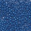 Colorations Blue Pony Beads, 1/2 lb. approx. 800 Pcs in Resealable Stand-Up for Storage, Accent Beads, Hair Accessory, Slime, Stringing, Learn, Teachers, Kids, Creative, Arts & Crafts (Item # SPONYBL)