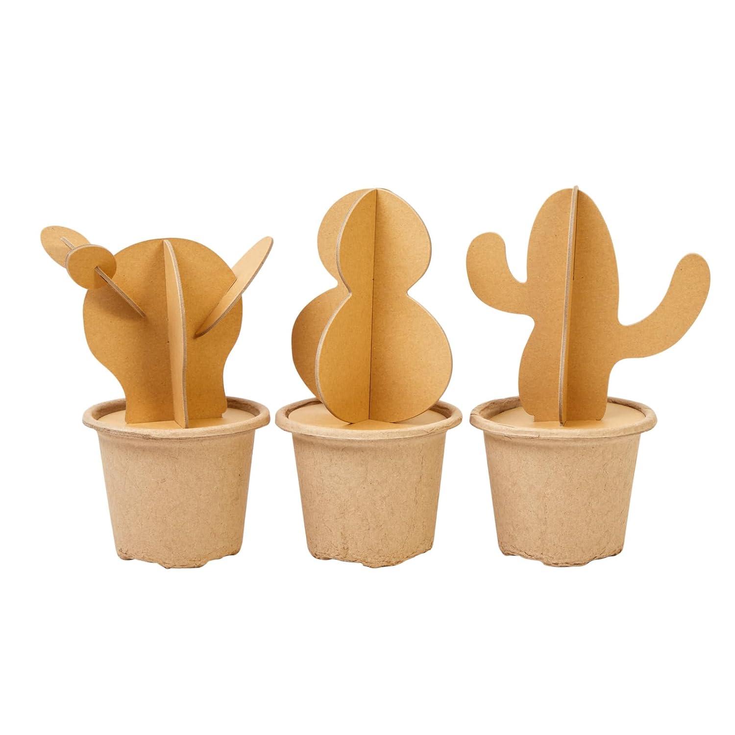 image:imageColorations Decorate Your Own Cactus 12 Piece