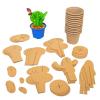 Colorations Decorate Your Own Cactus 12 Piece