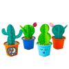 Colorations Decorate Your Own Cactus 12 Piece