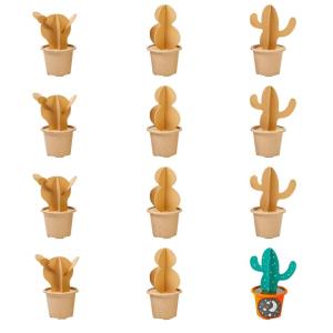 Colorations Decorate Your Own Cactus 12 Piece
